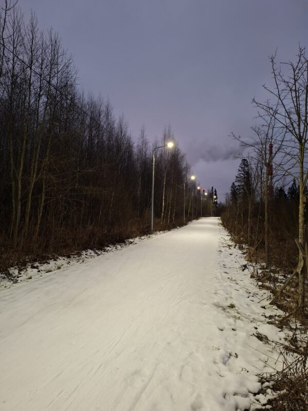 Трасса лыжероллерная Зеленоград Савелки, состояние на 20 декабря 2025 по отзыву, фото 3. 